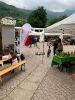 Trabicoi Vecc Faido 2019