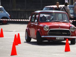 Uscite e Raduni