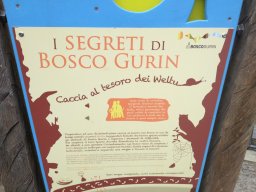 bosco2012_26_20130205_1629076508