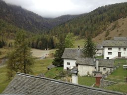 bosco2012_28_20130205_1105084822