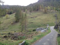 bosco2012_35_20130205_1879226977