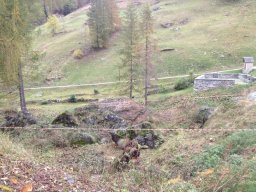 bosco2012_37_20130205_1001899057