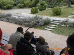 uscite_-_raduni_2 &raquo; uscita_falconeria_locarno_marzo_2013_20