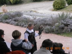 falconeria_0313_56_20130422_1407283820