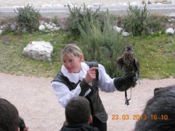falconeria_0313_57_20130422_1426918502