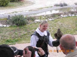 falconeria_0313_58_20130422_1140497621