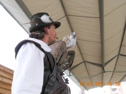 falconeria_0313_96_20130422_1514605623