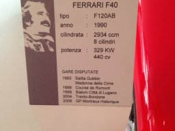 Uscite e Raduni